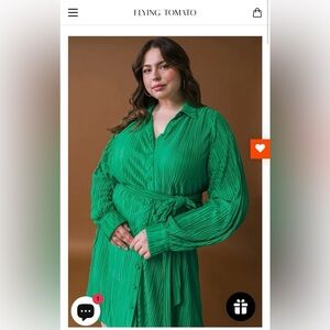 Women’s Flying Tomato dress size L